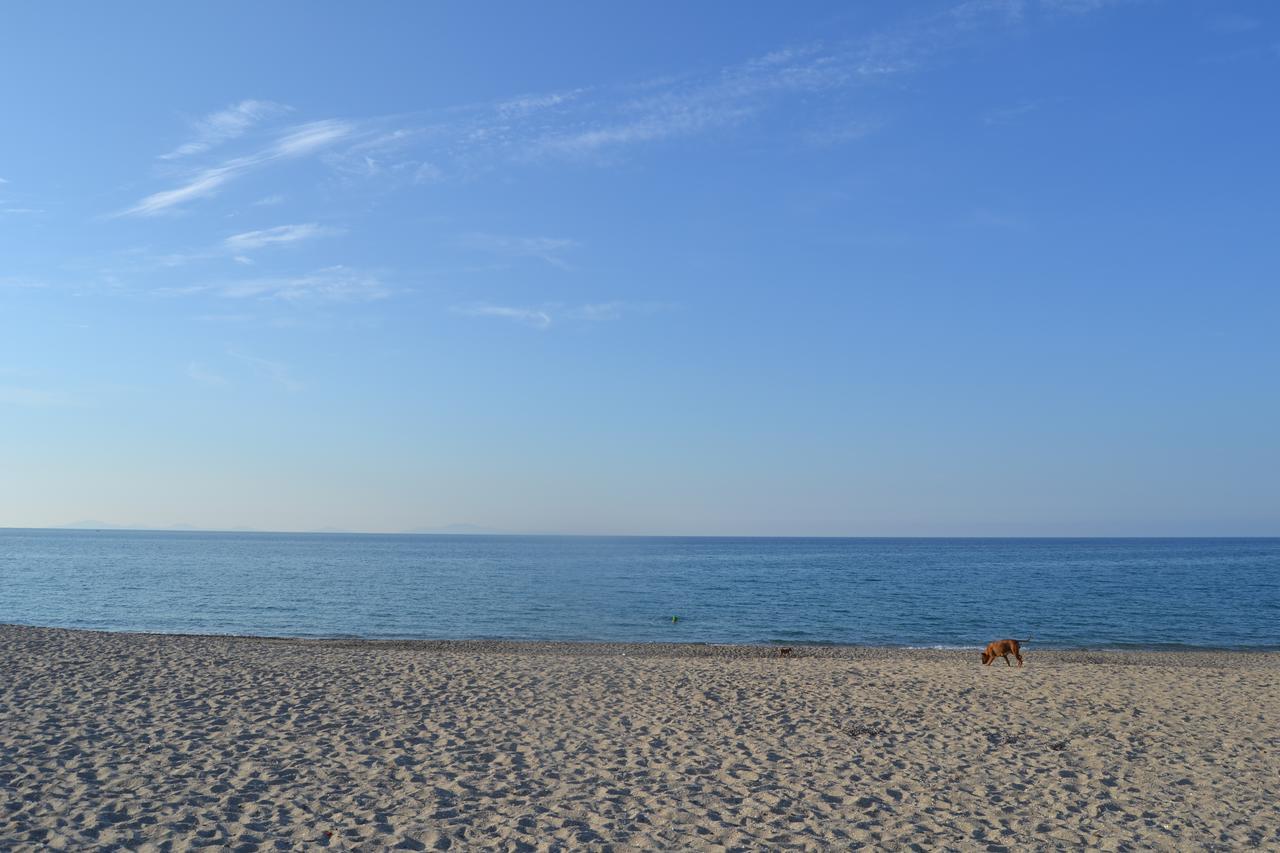Miramare Struttura Sulla Spiaggia Platamona Zewnętrze zdjęcie