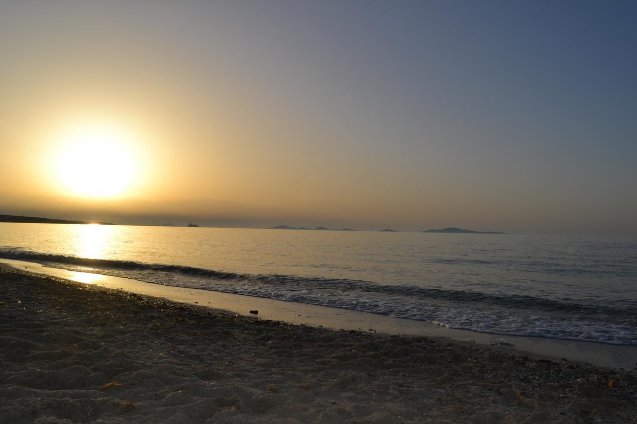 Miramare Struttura Sulla Spiaggia Platamona Zewnętrze zdjęcie